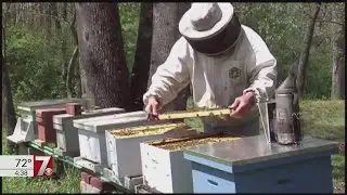 Earth Day: How to rent your own beehive in the Upstate