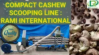 Automatic Cashew Scooping Machine / Cashew Scooping Line / Cashew Scooping Machine /Cashew Machinery