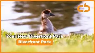 Corner Booth Media: Your New Riverfront Park