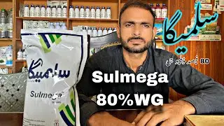 سلمیگا برانڈ comega سلفر کی زرعی زمین اور فصلات میں اہم کردار ۔۔۔