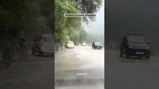 🌧️ Shimla Weather Update Today | Monsoon Rainfall in Shimla | Live Rain Scene 2025