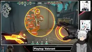 Random Valorant Gameplay Pog