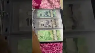 World Polymer Bank Notes Collection | UNC | Hobby | Polymers
