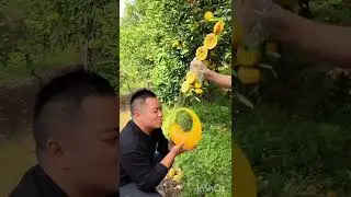 best Santra juice#short #video