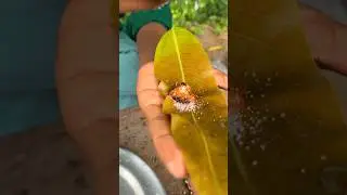 Mango leaves inside spicy Stuffing #shorts