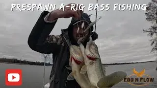 Alabama rigs and Jerkbaits: Catching Prespawn Bass on the Cooper River