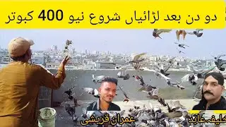 khalifa abid V/S Imran Qureshi  ke 400 newgola kabootar k lariyan | shauk sidhiyon se pareshan,