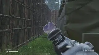 DayZ