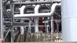 EPA Mandate on Biodiesel Disappoints