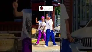 pom pom by Bruce melody na diamond 💎 platinum