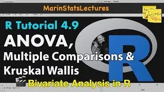 ANOVA, множественные сравнения ANOVA и Краскал Уоллис в R | Учебное пособие по R 4.9 | MarinStats...