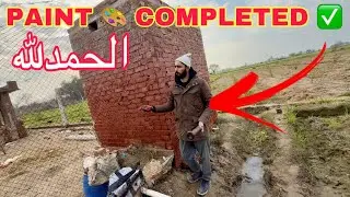 Construction 🚧 Working Day 3 All Paint Completed ✅ | Mr Asad