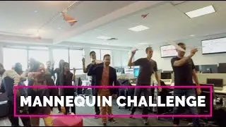Mannequin Challenge in the Office!