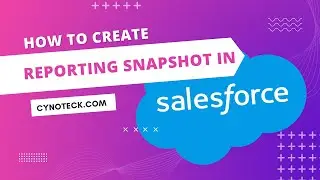 Как создать моментальный снимок отчётности в Salesforce | Учебные пособия по Salesforce