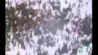 Part of Imam Khomeini (ra) Funeral 13million attended