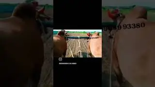 99089 93380