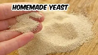 வீட்டிலேயே ஈஸ்ட் தயாரிப்பது எப்படி?|Homemade yeast|DIY|#yeast in tamil|How to prepare yeast?