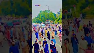 Pti jalsa e aam awam sarko par nikal ai 24 november 2024 #trending#pti#shots #tiktokviral#viralvideo