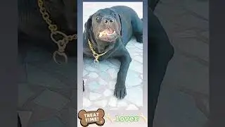 #treattime🦴🫰