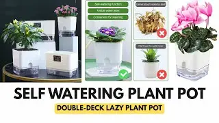 🌱 Self-Watering Magnetic Plant Pot with Transparent Water View!