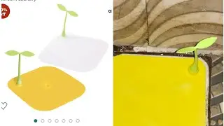 Ricamzi Bean Sprouts Floor Drain Toilet Floor Anti-Smell Cover Silicone #unboxing #review
