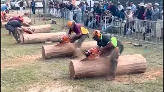 Wood Fast Cutting Competition | The fast and agility of splitting wood