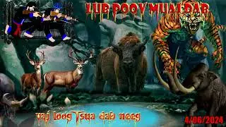 2 kwv tij mus ua teb pawv zoov sib teem caij mus zov poov dab tsov tuaj hu