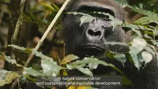SNAPP and Community Based Natural Resource Governance