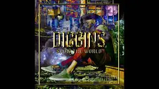 DIGGINS TIME TO GO FT DOM WALSH & VISION$