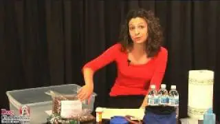 How to Create a Dog Disaster Kit - DogChannel.com