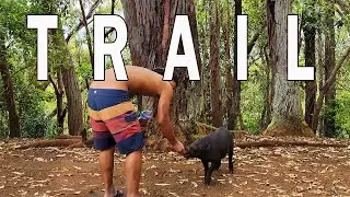 Revealed: Two Secret Hiking Trails on Oahu That Will Take Your Breath Away