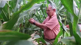 Driving Demand Through Ethanol