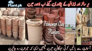 Peshawari Pots New Stock arrived at Plant.pk Nursery Farm