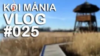 Koi M&aacute;nia VLOG#025 - S&oacute;st&oacute; t&eacute;len