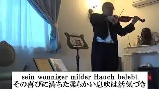 J.StraussⅡ 《Frühlingsstimmen》 Op.410 Karaoke