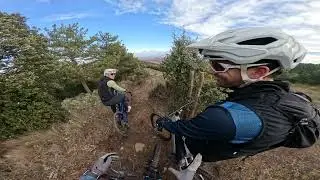 ARNEDO CANAGE (nos caemos todos)