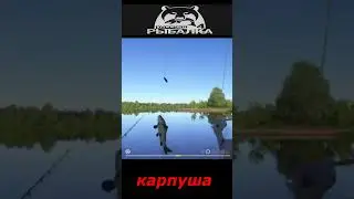 #shorts  #🎮карпуша🎮# Russian Fishing 4#