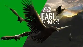 Eagle Animation Volume 01 - Stock Footages | FREE DOWNLOAD | Copyright FREE