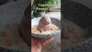 Korean famous Capybara Panna Cotta | Chef Manish Khanna | #pannacotta |