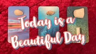Today is a Beautiful Day Short and Sweet Oracle Reading with Sea Soul Journeys Oracle Cards
