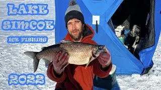 Catching Big Lake Simcoe Whitefish On (3lb test) -35 Wind Chill