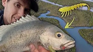 SKIP CASTING for MANGROVE JACK | CREEK MEETS THE COAST | Part 3