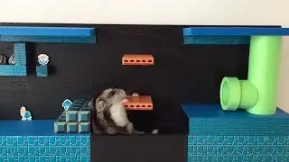 ハムマリオ005（ HAMUMARIO）Hamster Super Mario Bros. WORLD1-2