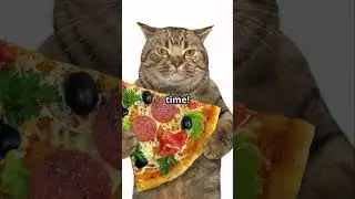 Purrfect Pizza  Cats in the Kitchen!