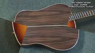 Zager ZAD900E Guitar Review: The Perfect Acoustic-Electric? | Bud Haas