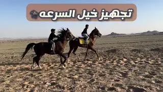 التدريب على تشغيل خيل السرعه ( ليث و رعد ) 🏇♥️🔥