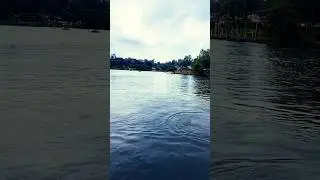 Yercaud lake & boat house 🚤 #yercaud  #yercaudlake