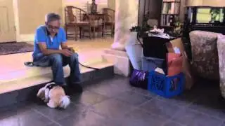 Sam Ivy K9 Consultants - Service Dog Retrieval Training