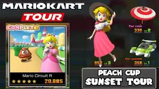 Ranked Cup DOUBLE Coin & Coin Box Frenzy 21,500 + Highscore on 3DS Mario Circuit R - Mario Kart Tour