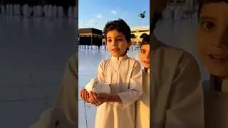 Dekho yah kabutar bhi Allah Ke Ghar Mein ird-gird ghoom Raha Hai#Mashlla#2026#trending
